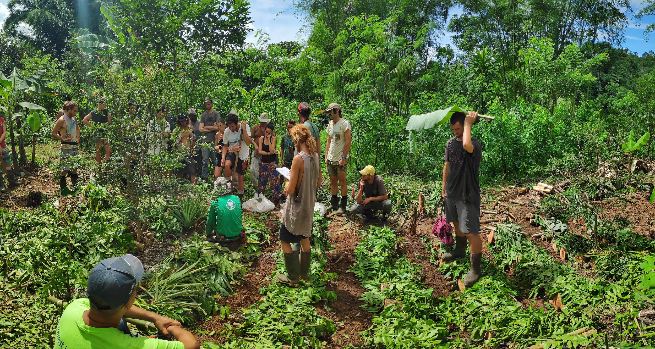 Syntropic farming workshop at Rancho Mastatal